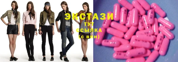 дживик Няндома