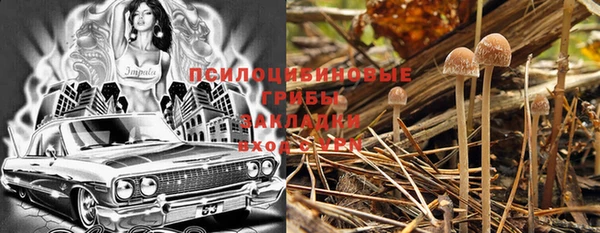 стафф Новодвинск