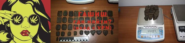 дживик Няндома