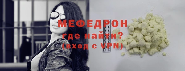 дживик Няндома