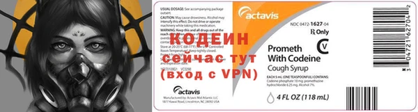 СК Новозыбков