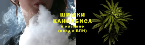 стафф Новодвинск