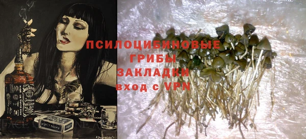 дживик Няндома