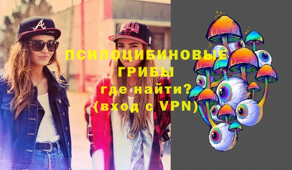 дживик Няндома