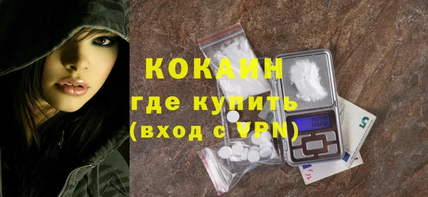 дживик Няндома