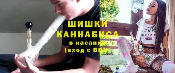 стафф Новодвинск