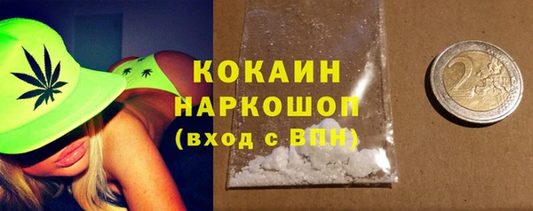 СК Новозыбков