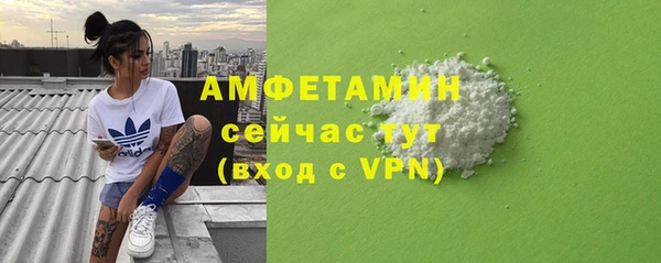 стафф Новодвинск