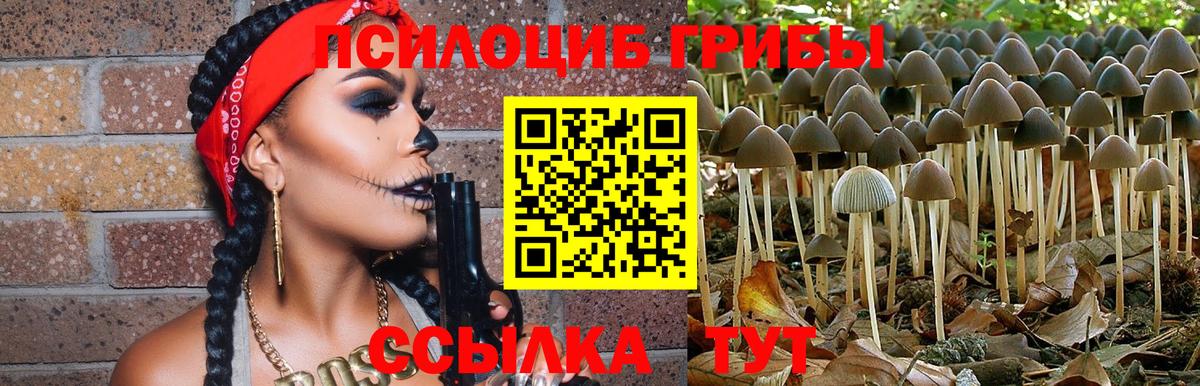 Псилоцибиновые грибы прущие грибы  Магадан 