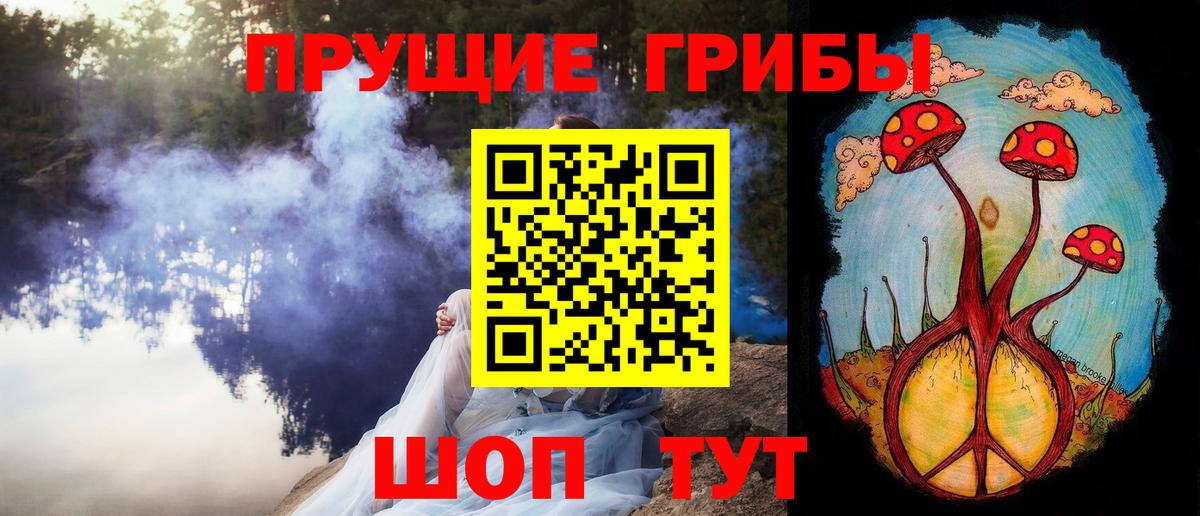 Псилоцибиновые грибы GOLDEN TEACHER Магадан